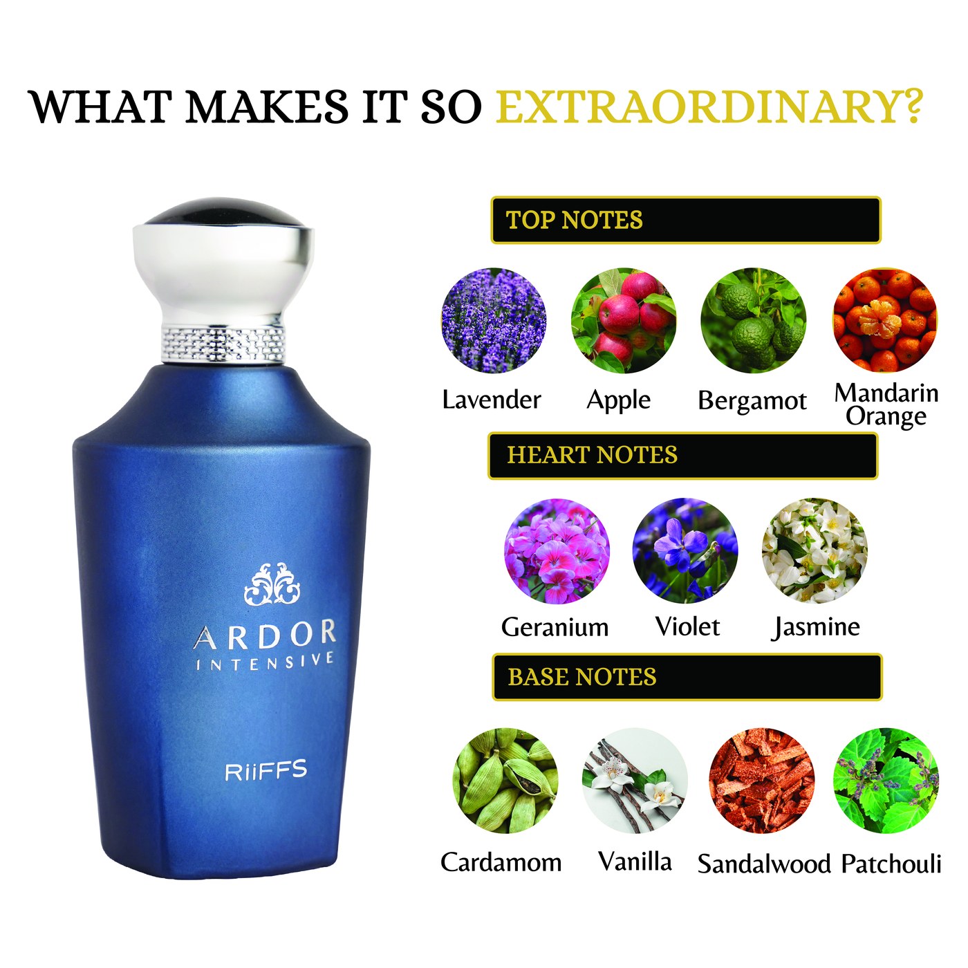 121_3 Ardor Intense - Riiffs 100ML – Image 3