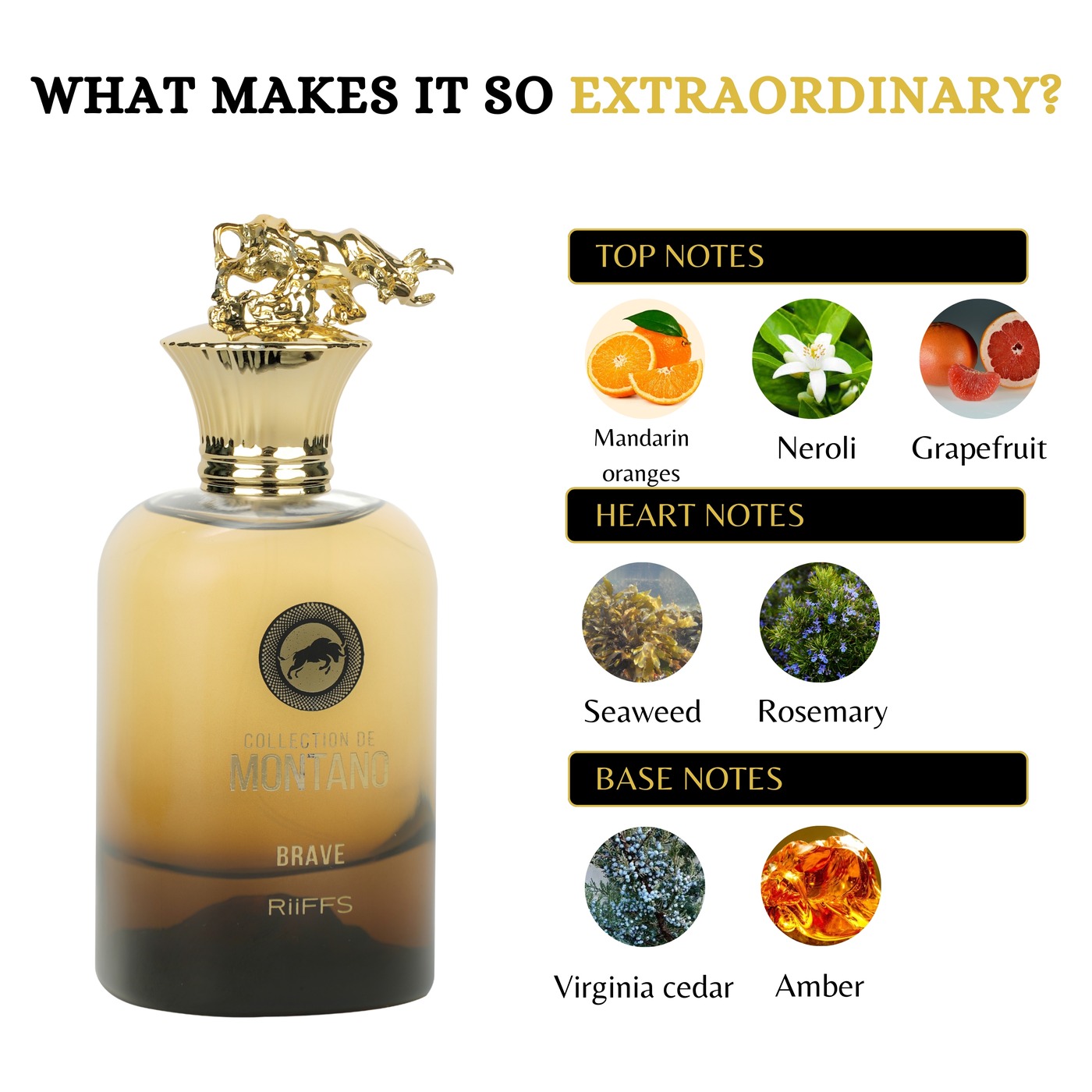 129_3 Collection De Montano Brave - Riiffs 100ML – Image 3