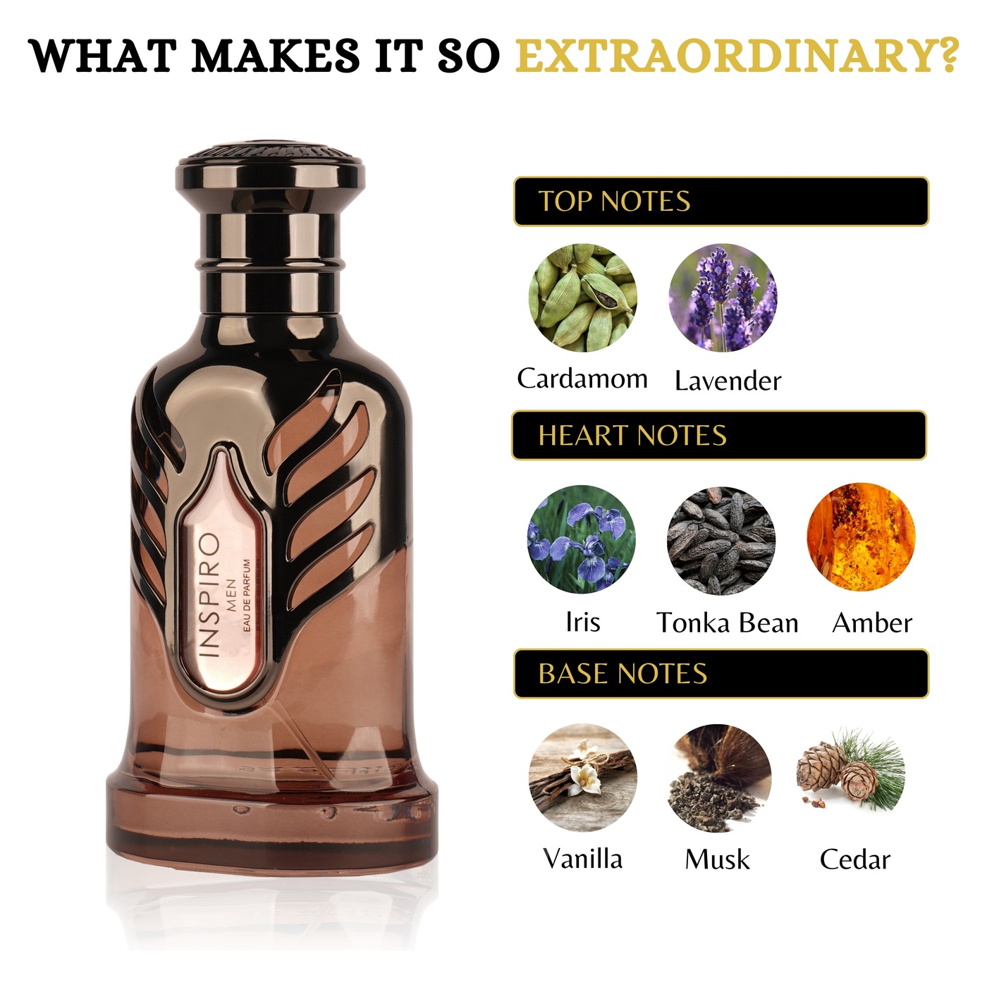 152_3 Inspiro Men - Riiffs 100ML – Image 3