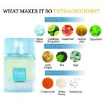 Freeze - Riiffs 100ML - Image 3